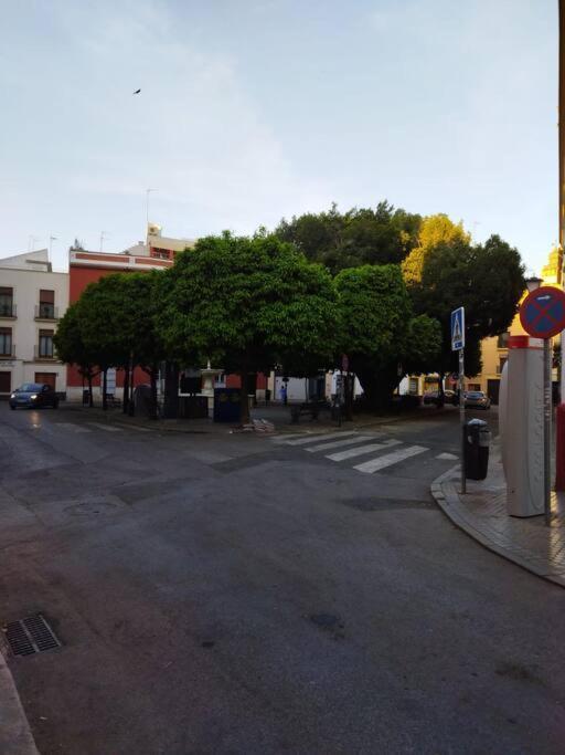Apartamento Hispalis Plaza Cristo De Burgos Sevilla Exterior foto